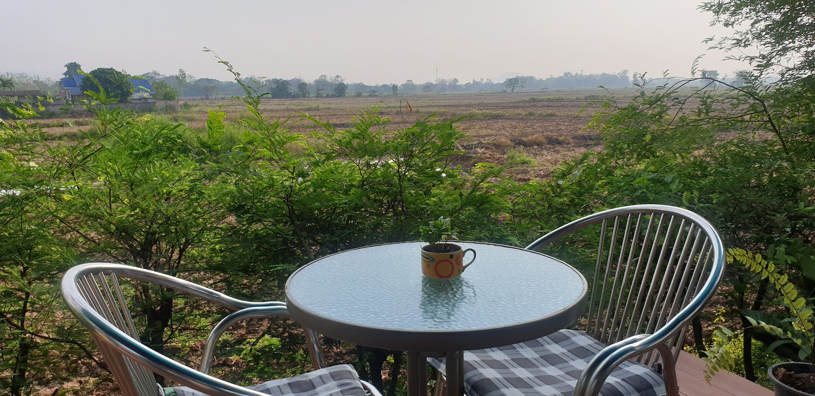 The Coffee Garden Chiangrai - Image 1