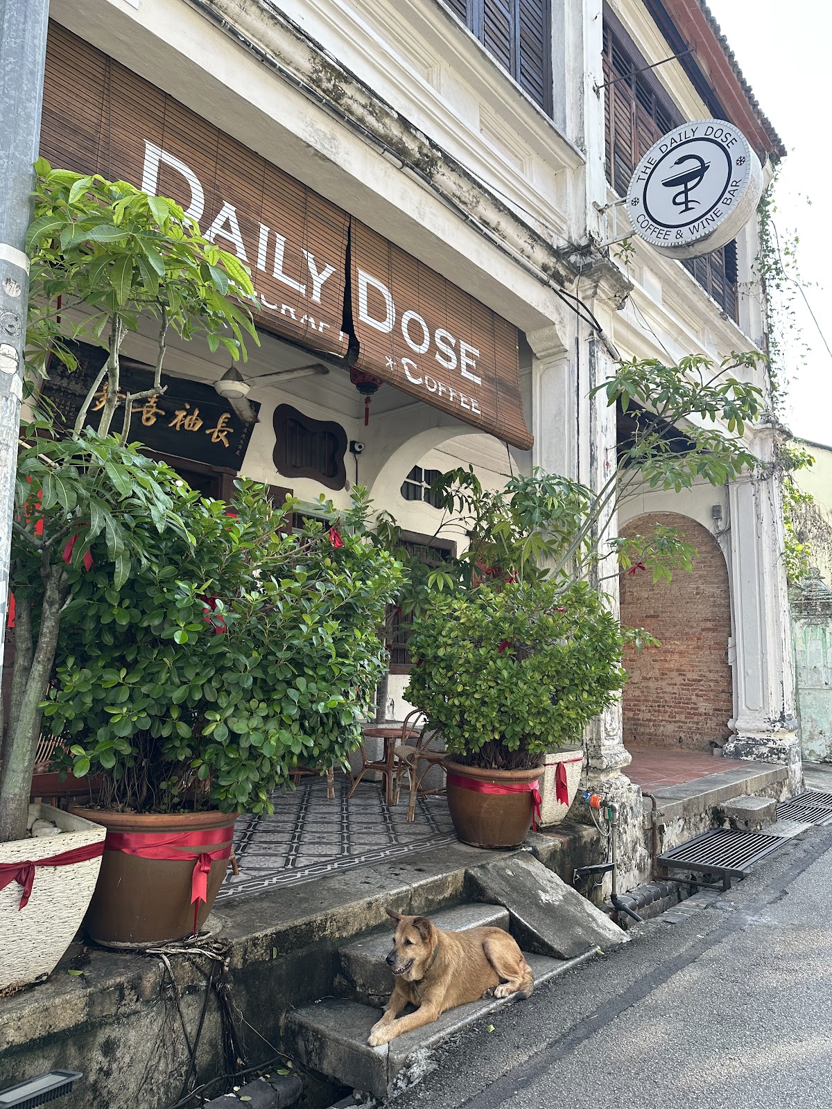 The Daily Dose Cafe Penang - Image 1