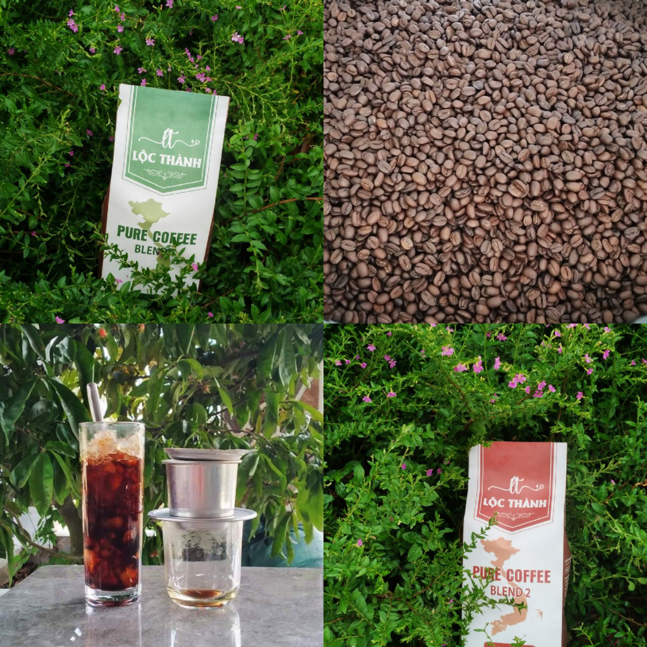 XƯỞNG RANG CÀ PHÊ LỘC THÀNH - Image 1