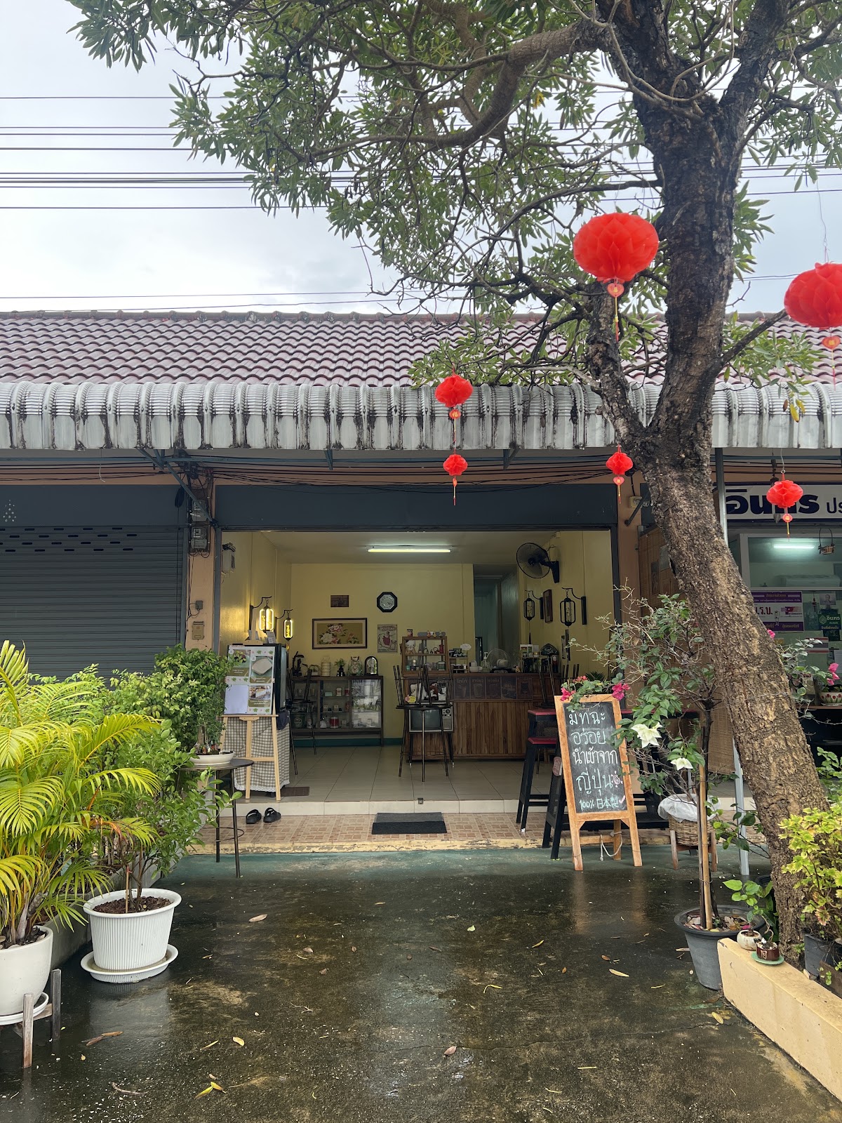 เอะกาโอะ มัทฉะ ทีเฮ้าส์ (EGAO Matcha Teahouse) - Image 1